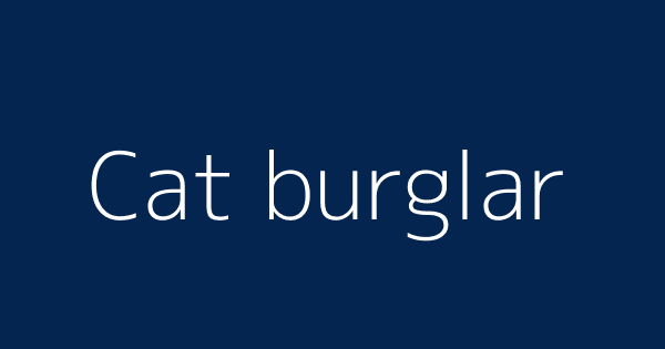 Burglar meaning